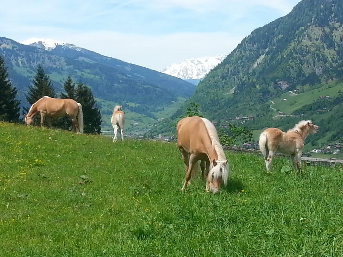 Schmalzgrubengut Lägenhet Bad Hofgastein Exteriör bild