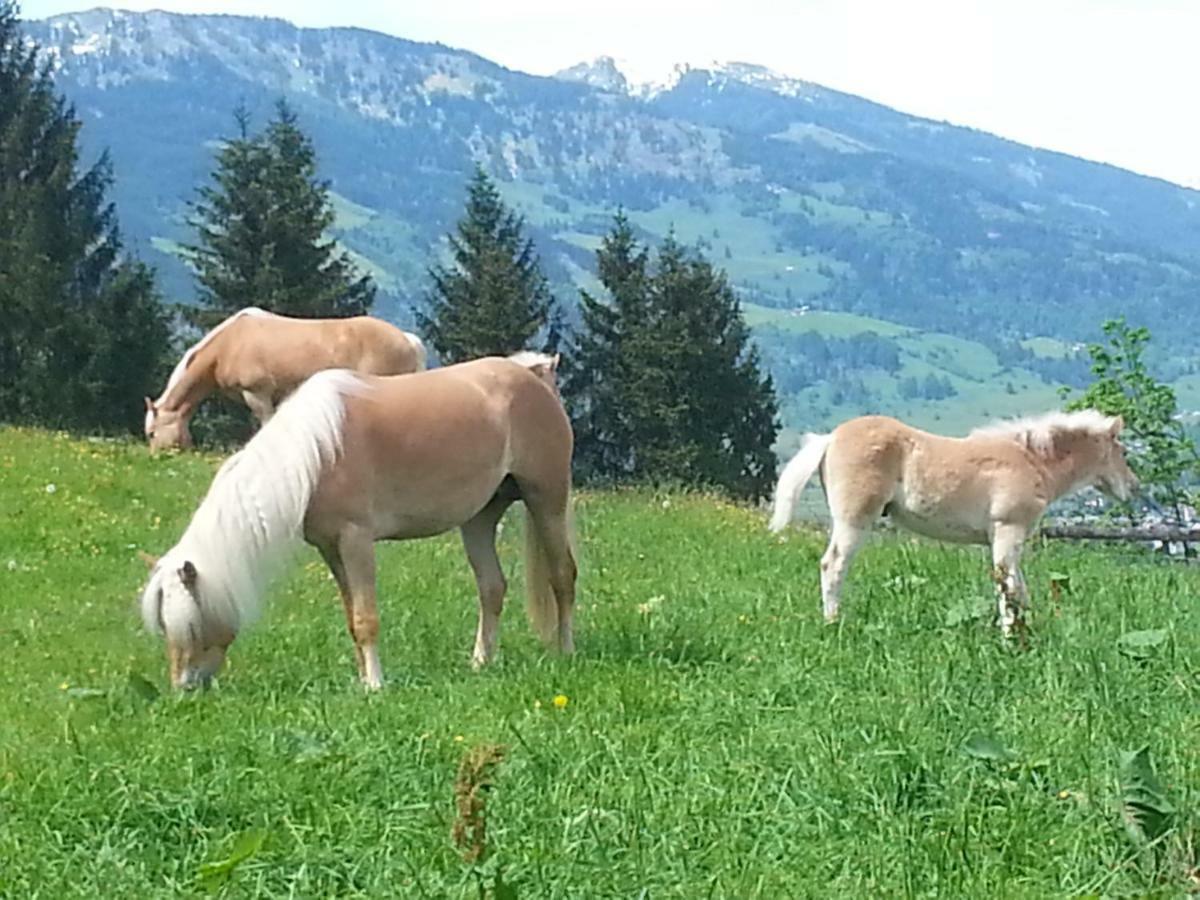 Schmalzgrubengut Lägenhet Bad Hofgastein Exteriör bild