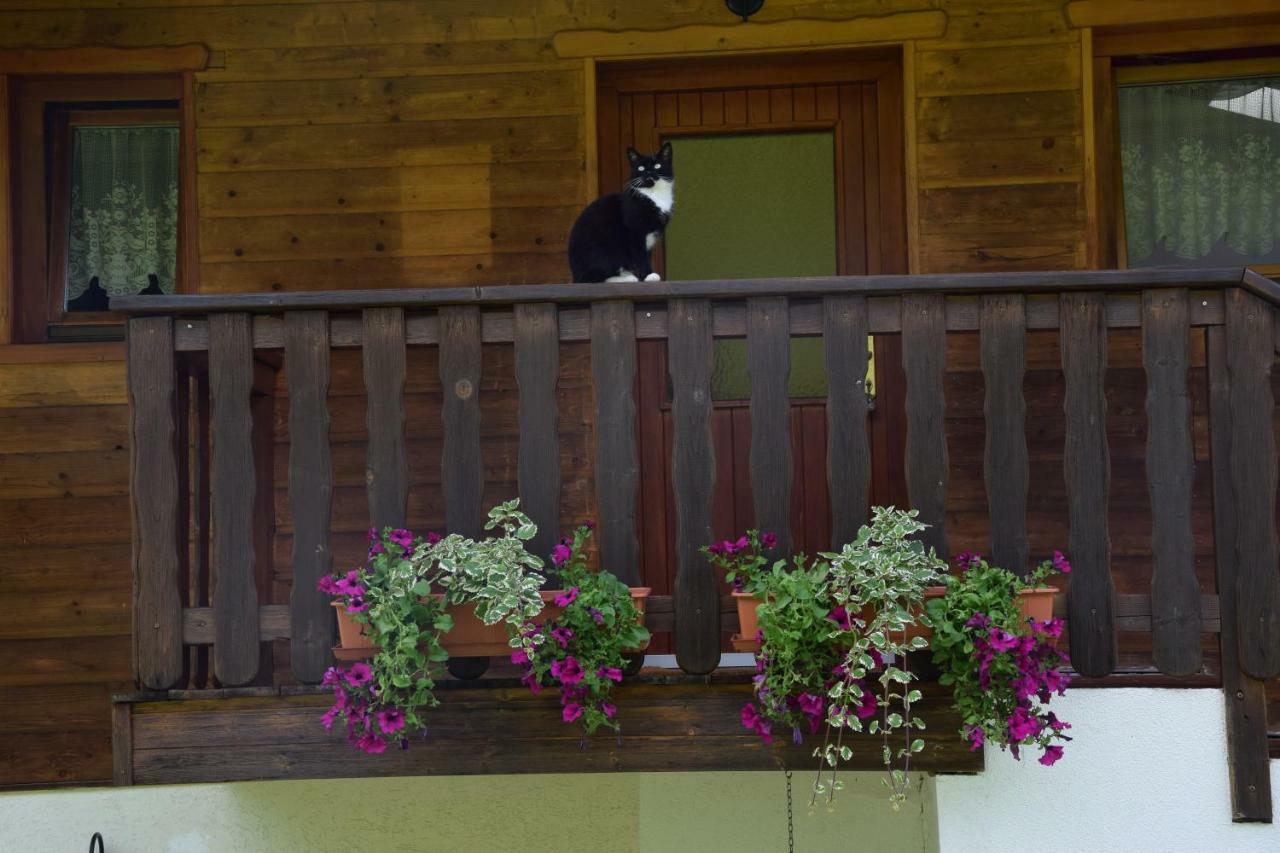 Schmalzgrubengut Lägenhet Bad Hofgastein Exteriör bild